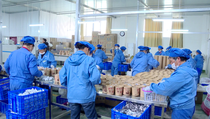 紅安 黨建領(lǐng)航，跑出鄉(xiāng)村振興“加速度” —— 探索食品互聯(lián)網(wǎng)銷售新路徑