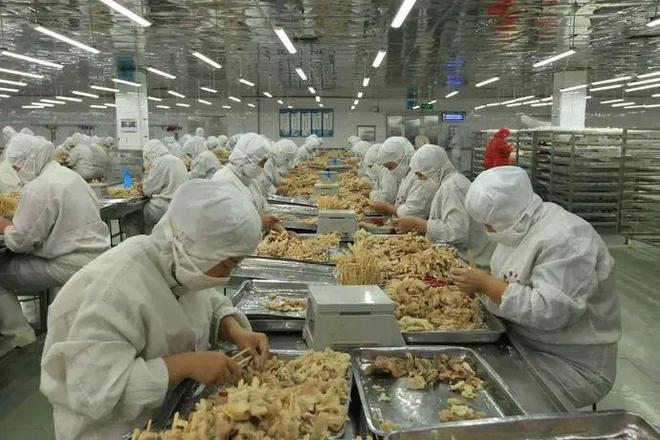 服務(wù)業(yè)穩(wěn)定增強(qiáng) 助力河北省新經(jīng)濟(jì)崛起 食品互聯(lián)網(wǎng)銷售蓬勃發(fā)展