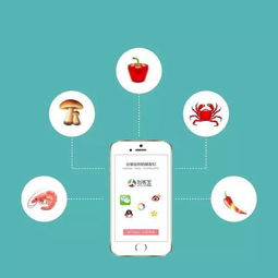 食品互聯網銷售 為傳統行業轉型插上翅膀