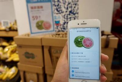 上?！坝唵问睫r業”引領食品安全新風尚，上游農戶增收與互聯網銷售雙贏